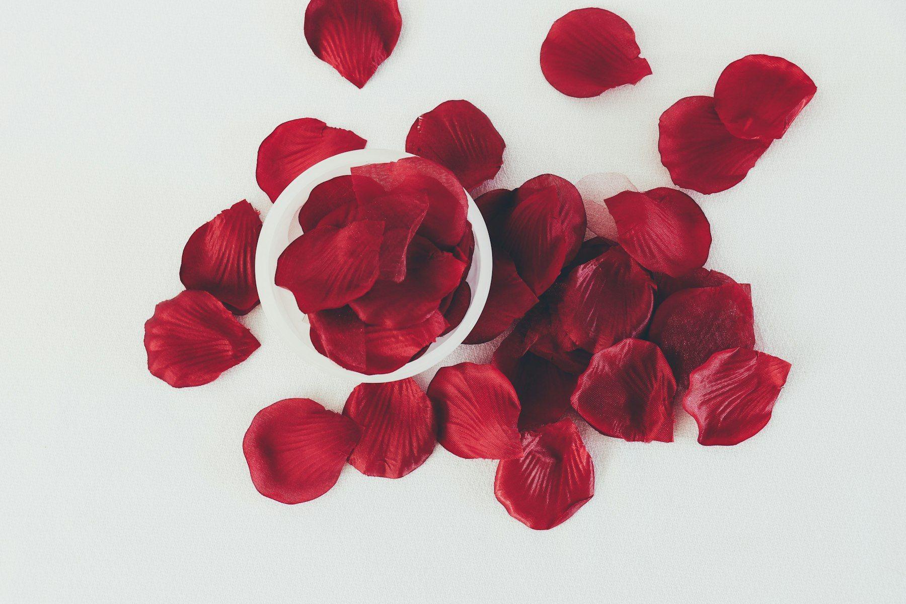 Rote Rosenblätter auf weißem Grund